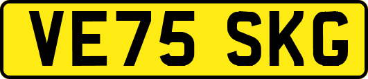 VE75SKG