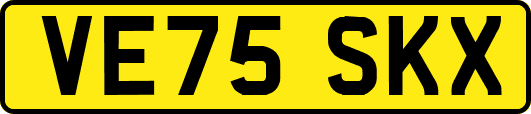 VE75SKX