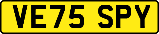 VE75SPY