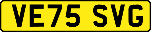 VE75SVG