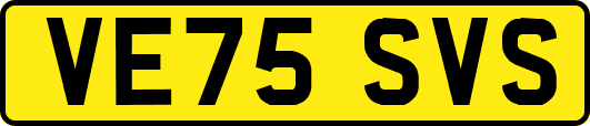 VE75SVS