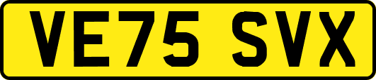 VE75SVX