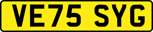 VE75SYG