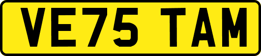 VE75TAM