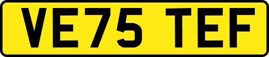 VE75TEF