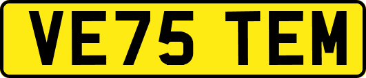 VE75TEM