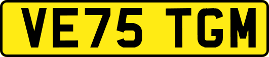 VE75TGM