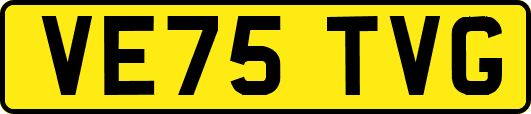 VE75TVG