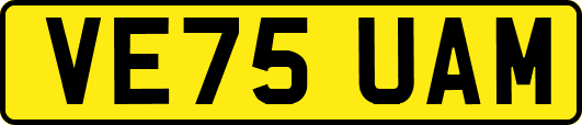 VE75UAM