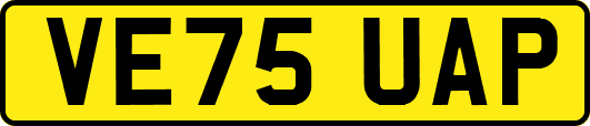 VE75UAP