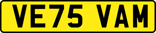 VE75VAM