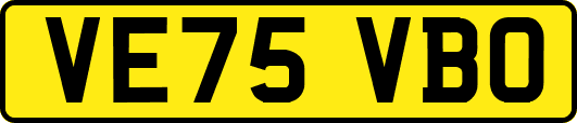 VE75VBO