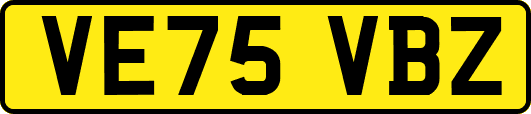 VE75VBZ