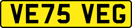 VE75VEG
