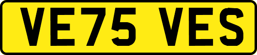 VE75VES
