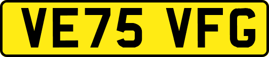 VE75VFG