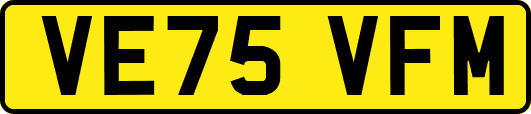 VE75VFM