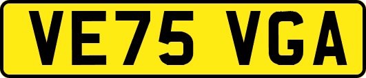 VE75VGA