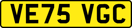 VE75VGC