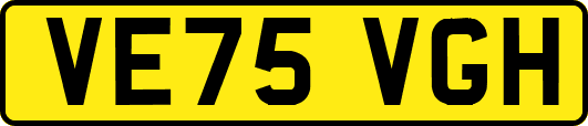 VE75VGH