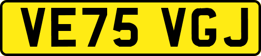VE75VGJ