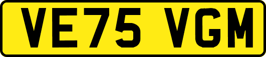 VE75VGM