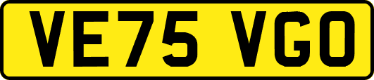 VE75VGO
