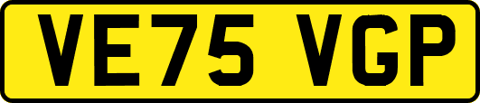 VE75VGP