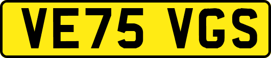 VE75VGS