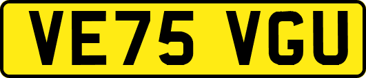 VE75VGU