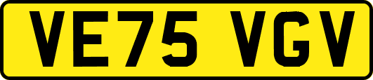 VE75VGV