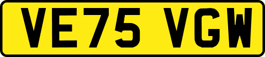 VE75VGW
