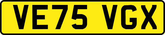 VE75VGX