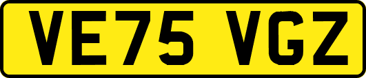 VE75VGZ