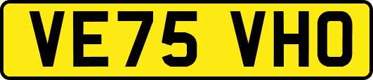 VE75VHO