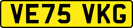 VE75VKG