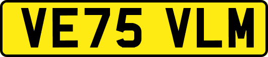 VE75VLM
