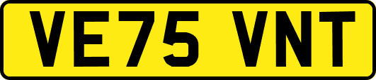 VE75VNT