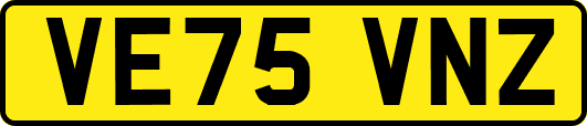 VE75VNZ