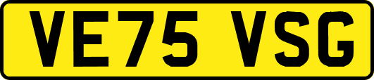 VE75VSG