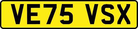 VE75VSX