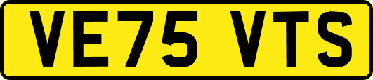 VE75VTS
