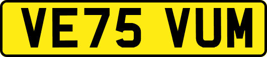 VE75VUM