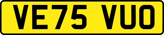 VE75VUO
