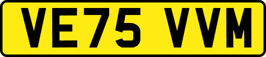 VE75VVM