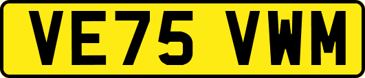 VE75VWM