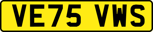 VE75VWS