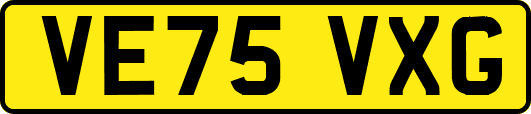 VE75VXG