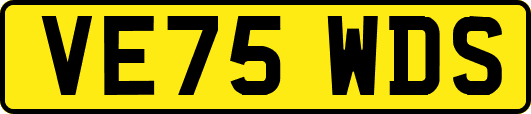 VE75WDS