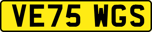VE75WGS